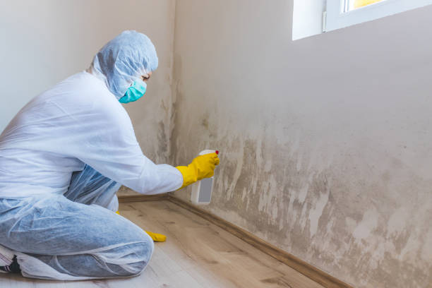 Licensed Mold Testing service in Lakeside, OR - WQB Mold Removal