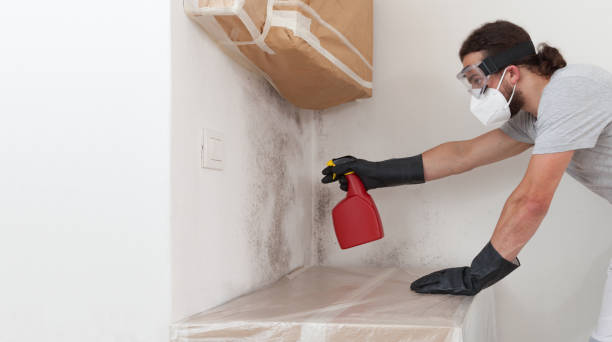 Professional Mold Testing technician working in Lakeside, OR