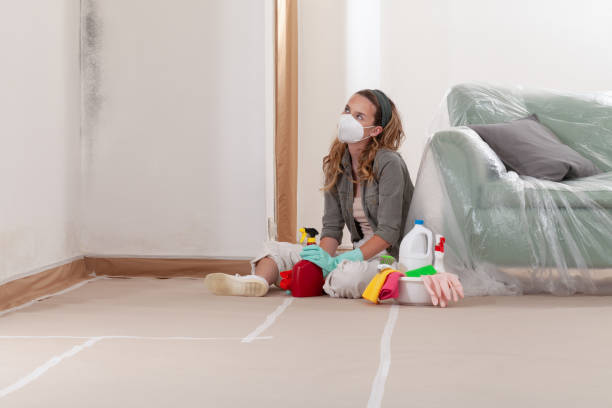 Reliable Mold Testing contractor in Lakeside, OR by WQB Mold Removal